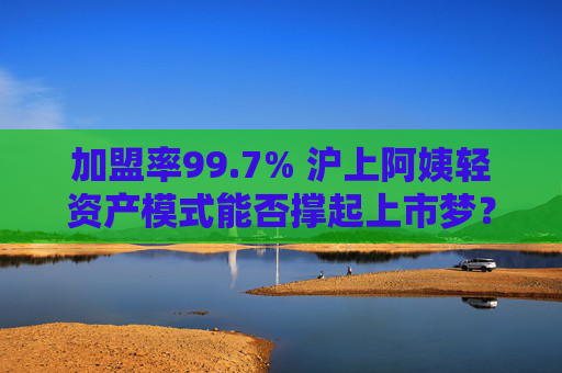 加盟率99.7% 沪上阿姨轻资产模式能否撑起上市梦？  第1张