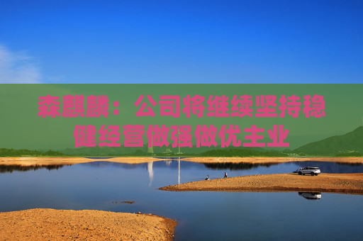 森麒麟:公司将继续坚持稳健经营做强做优主业