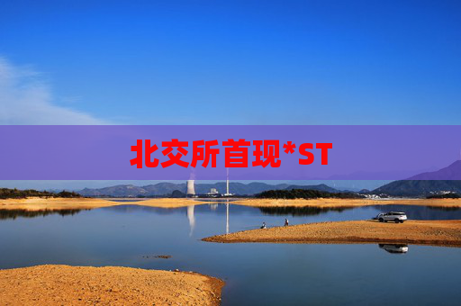 北交所首现*ST 第1张 北交所首现*ST 第1张