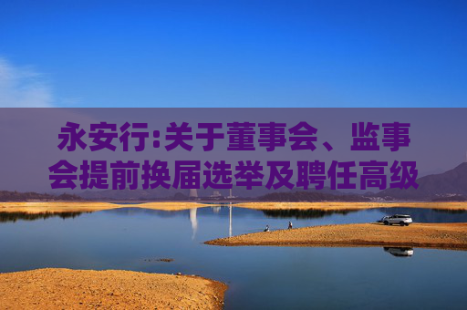永安行:关于董事会、监事会提前换届选举及聘任高级管理人员的公告