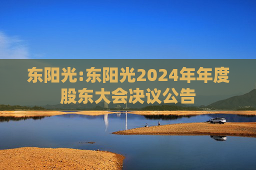 东阳光:东阳光2024年年度股东大会决议公告  第1张