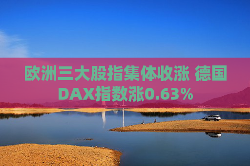 欧洲三大股指集体收涨 德国DAX指数涨0.63%