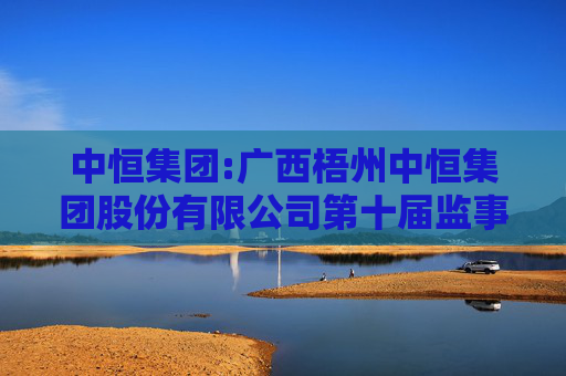 中恒集团:广西梧州中恒集团股份有限公司第十届监事会第十三次会议决议公告  第1张