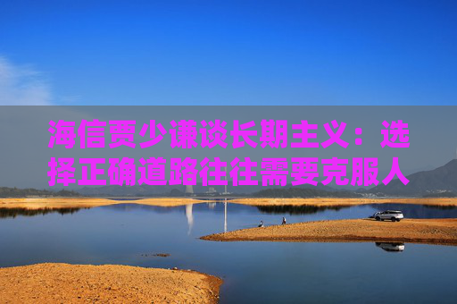 海信贾少谦谈长期主义：选择正确道路往往需要克服人性弱点，承受短期阵痛