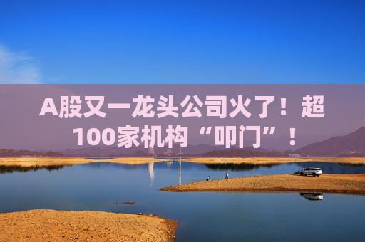 A股又一龙头公司火了！超100家机构“叩门”！