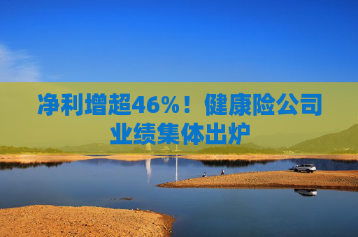 净利增超46%！健康险公司业绩集体出炉