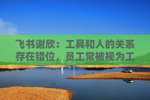 飞书谢欣:工具和人的关系存在错位,员工常被视为工具的附属 第1张 飞书谢欣:工具和人的关系存在错位,员工常被视为工具的附属 第1张