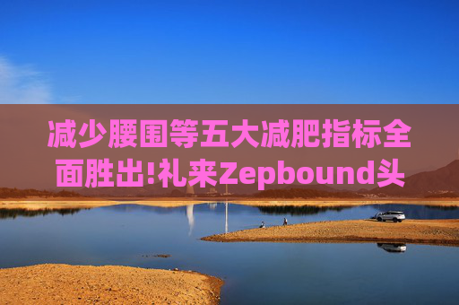 减少腰围等五大减肥指标全面胜出!礼来Zepbound头对头试验碾压诺和诺德(NVO.US)Wegovy  第1张