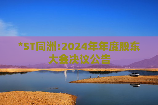 *ST同洲:2024年年度股东大会决议公告