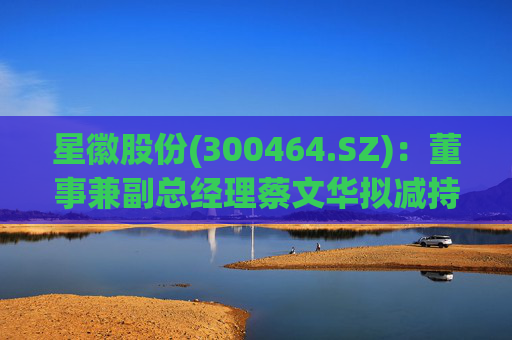 星徽股份(300464.SZ)：董事兼副总经理蔡文华拟减持20.25万股