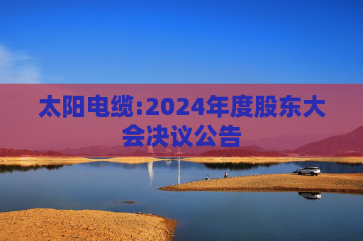 太阳电缆:2024年度股东大会决议公告