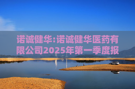 诺诚健华:诺诚健华医药有限公司2025年第一季度报告  第1张