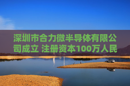 深圳市合力微半导体有限公司成立 注册资本100万人民币  第1张
