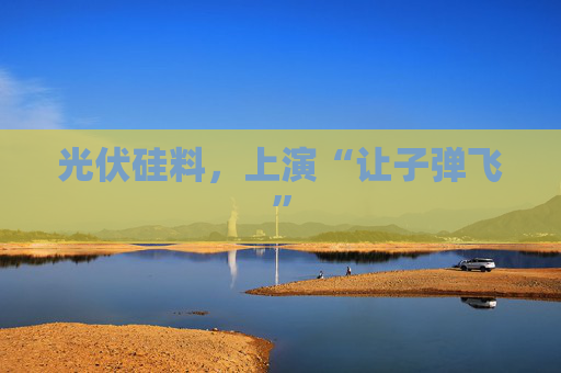 光伏硅料，上演“让子弹飞”
