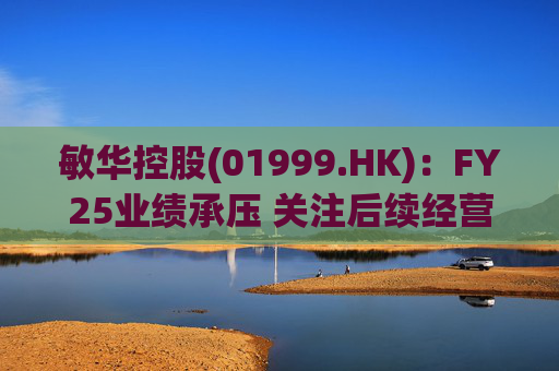 敏华控股(01999.HK)：FY25业绩承压 关注后续经营改善  第1张