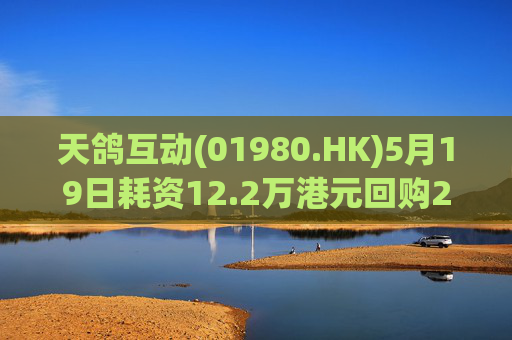 天鸽互动(01980.HK)5月19日耗资12.2万港元回购20万股