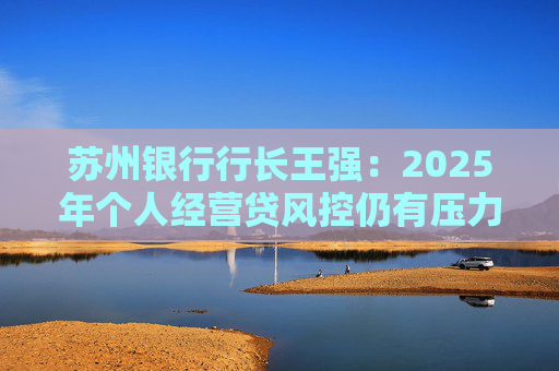 苏州银行行长王强:2025年个人经营贷风控仍有压力,但不会造成冲击 第1张 苏州银行行长王强:2025年个人经营贷风控仍有压力,但不会造成冲击 第1张