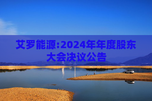 艾罗能源:2024年年度股东大会决议公告