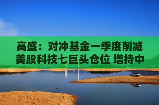 高盛:对冲基金一季度削减美股科技七巨头仓位 增持中概股