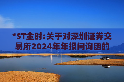 *ST金时:关于对深圳证券交易所2024年年报问询函的回复