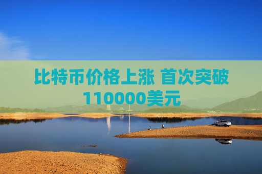 比特币价格上涨 首次突破110000美元  第1张