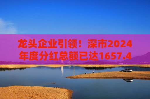 龙头企业引领!深市2024年度分红总额已达1657.47亿元