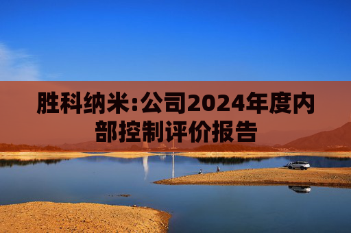 胜科纳米:公司2024年度内部控制评价报告  第1张