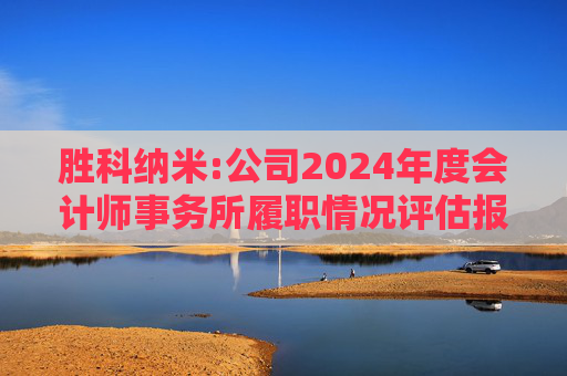 胜科纳米:公司2024年度会计师事务所履职情况评估报告