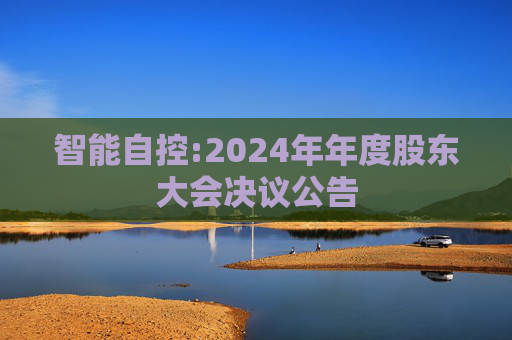 智能自控:2024年年度股东大会决议公告