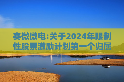 赛微微电:关于2024年限制性股票激励计划第一个归属期归属条件成就的公告  第1张