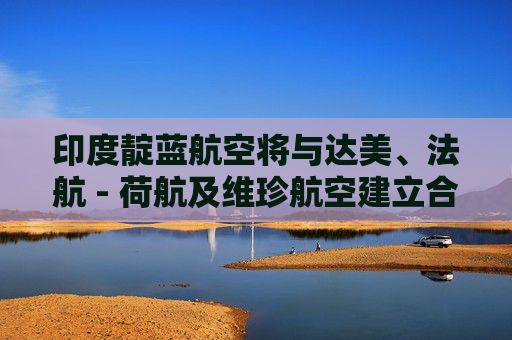 印度靛蓝航空将与达美、法航 - 荷航及维珍航空建立合作  第1张