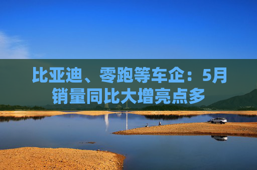 比亚迪、零跑等车企：5月销量同比大增亮点多