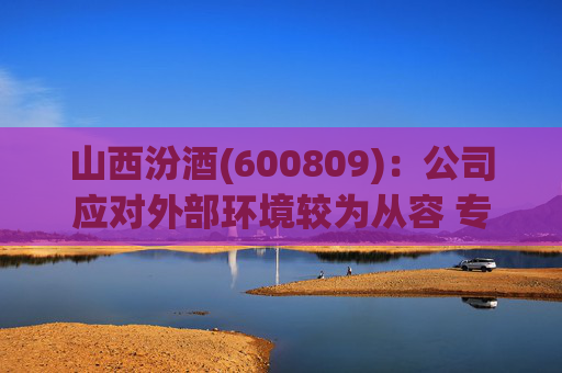 山西汾酒(600809):公司应对外部环境较为从容 专注于组织、团队、信息化等自身能力提升