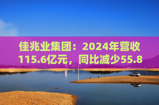 佳兆业集团：2024年营收115.6亿元，同比减少55.8%