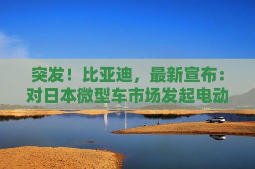 突发！比亚迪，最新宣布：对日本微型车市场发起电动车攻击