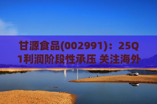 甘源食品(002991)：25Q1利润阶段性承压 关注海外市场突破
