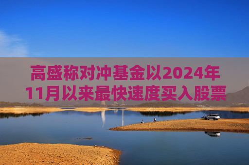 高盛称对冲基金以2024年11月以来最快速度买入股票