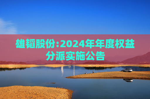 雄韬股份:2024年年度权益分派实施公告