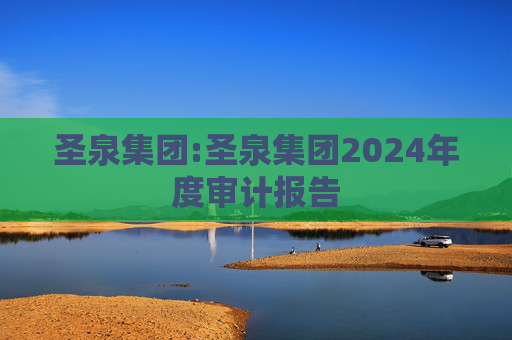 圣泉集团:圣泉集团2024年度审计报告  第1张
