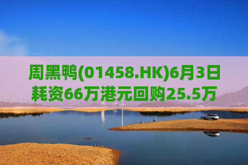 周黑鸭(01458.HK)6月3日耗资66万港元回购25.5万股