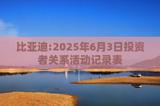 比亚迪:2025年6月3日投资者关系活动记录表