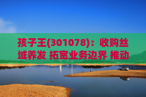 孩子王(301078)：收购丝域养发 拓宽业务边界 推动产业协同发展  第1张