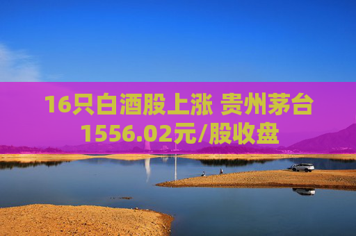 16只白酒股上涨 贵州茅台1556.02元/股收盘