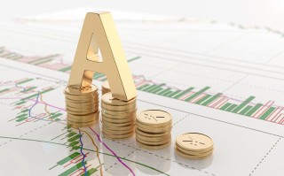 如何正确办理公共基金相关事务？这些事务的办理流程如何优化？