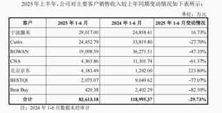 开年深交所首家被暂缓！惠康科技IPO前夜大客户“消失”京东“空降”