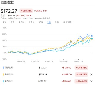 2025年美股最强Top 10，存储占了3只
