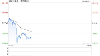 基金经理：金银长期涨势驱动因素仍然存在