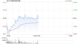 小摩：对德昌电机控股目标价更正为59港元 评级“增持”