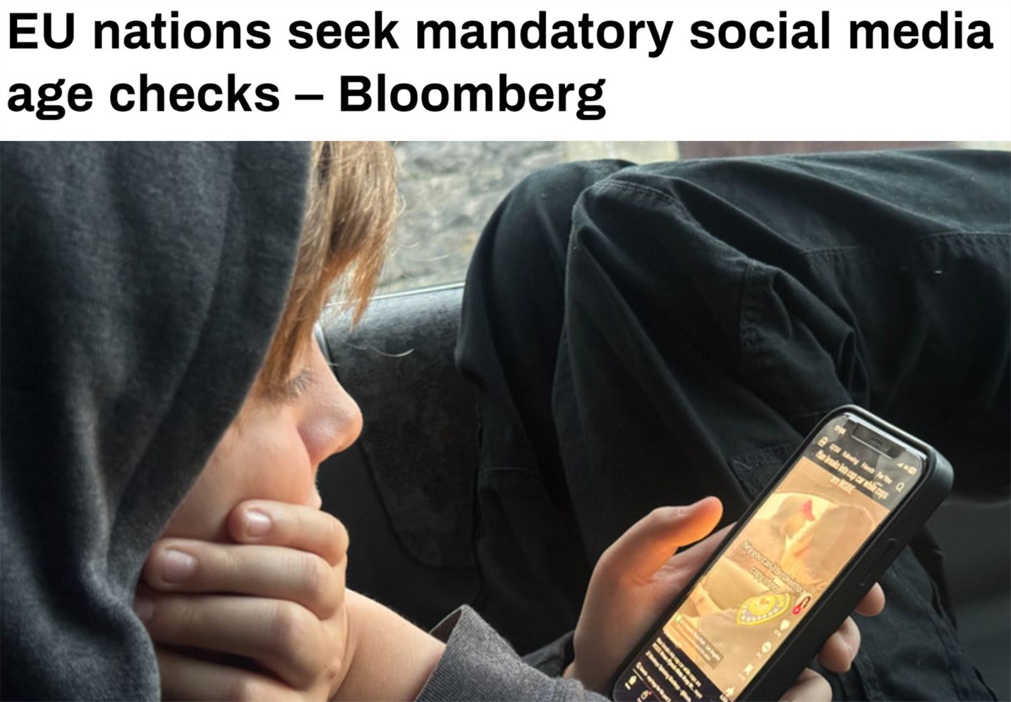 强制验证!欧洲多国要为社交媒体设置年龄门槛 第2张 强制验证!欧洲多国要为社交媒体设置年龄门槛 第2张