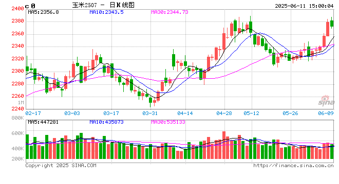 6月步入青黄不接，玉米行情是涨是跌？  第2张